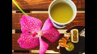 РАСТВОРИМЫЙ МАТЧА ЧАЙ И ЯПОНСКИЕ СЛАДОСТИ
