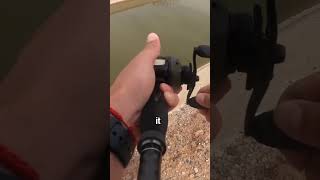 Big Bait in Micro Canal #fishing