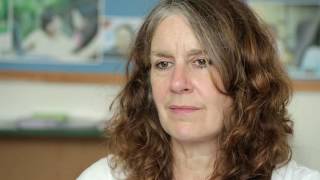 What challenges do small voluntary organisations face?