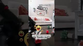 Ranking the Best Moving Doll Prank Videos... #1 Is Wild 👀