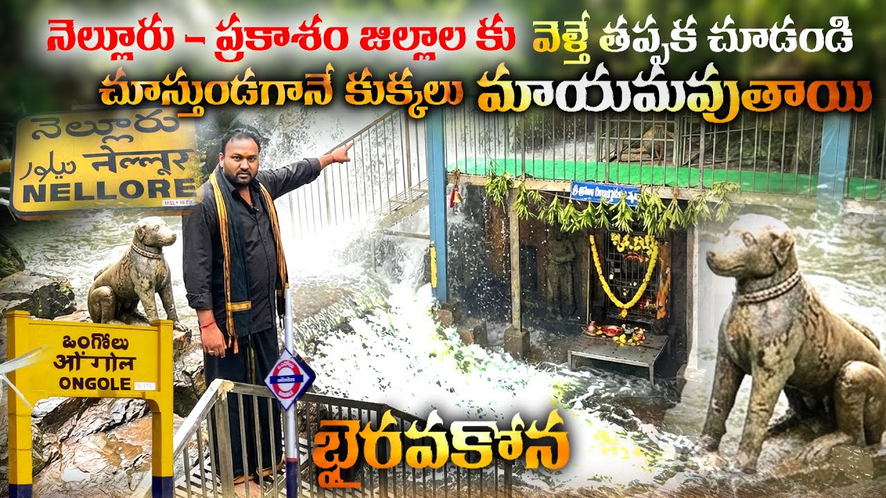 నెల్లూరు