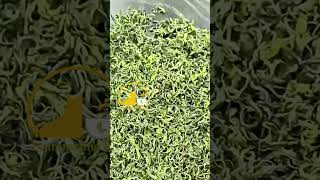 Chinese jasmine green white puer black oolong loose leaf tea#fouramazingtea#chinesetea#tea#greentea
