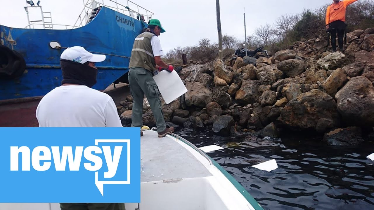 Oil spill off the Galapagos Islands YouTube