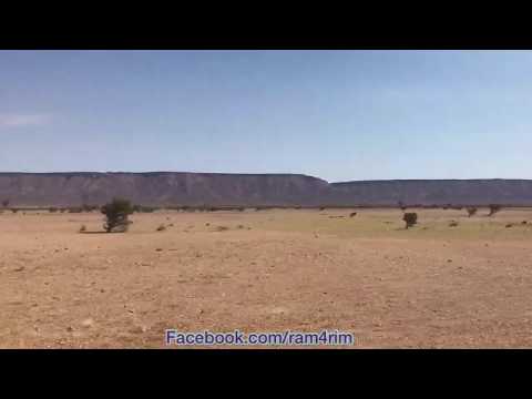 محمد يلي ما تعرف