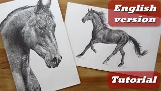 How to draw a Horse EASY step by step