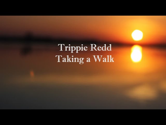 Trippie Redd  Taking A Walk Instrumental 1 Hour Loop