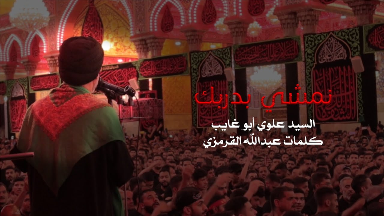 نمشي بدربك| سيد علوي ابو غايب