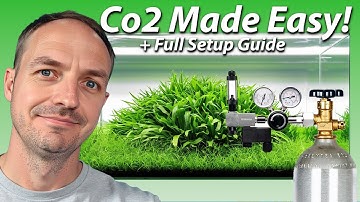Aquarium Co2 How To Guide