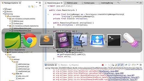 Java Web Development with Spring and Hibernate 8