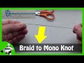 Fishing Knots - Shock Leader Knot