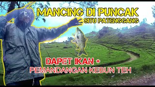 MANCING di SPOT PUNCAK Danau SITU PATENGGANG Ciwidey, Dapet IKAN   Pemandangan Indah