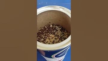 EXTREME WEEVIL INFESTATION!  Aka grain bugs!!!