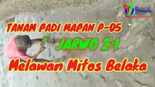 Tanam Padi MAPAN P-05 || Jarwo 2:1 Melawan Mitos Belaka