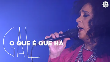 Gal Costa | O Que É Que Há (Vídeo Oficial)