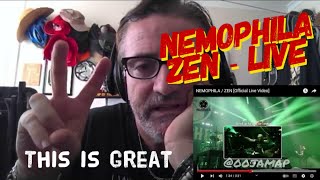 Nemophila - Zen live - old Aussie reacts