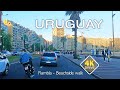 4K DRIVE Montevideo Uruguay 4K video GoPro Hero 9 TRAVEL vlog