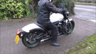 : Kawasaki Vulcan 650 S with Delkevic Can