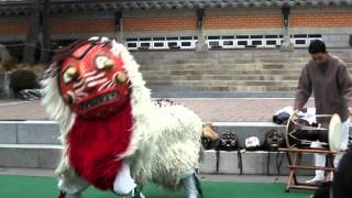 Traditional Korean Lion Dance Part 2