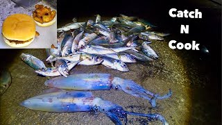 Big SQUID & Horse Mackerel  Catch Clean Cook , Delicious Trash Fish