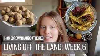 Homegrown tortillas and deer meat tacos by Homegrown Handgathered 20,965 views 4 months ago 11 minutes, 21 seconds