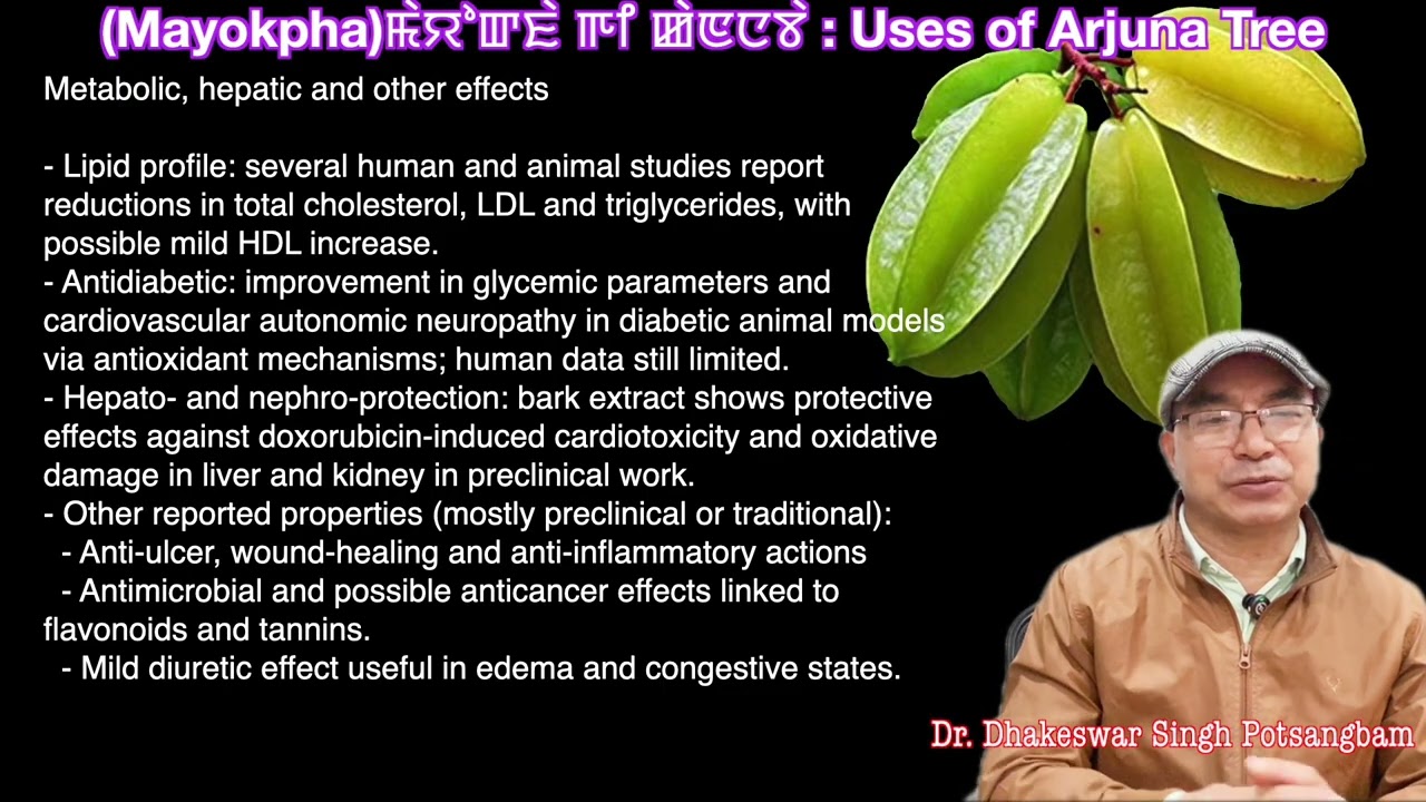 (Mayokpha)ꯃꯥꯌꯣꯛꯐꯥ ꯒꯤ ꯀꯥꯟꯅꯕꯥ : Uses of Arjuna Tree