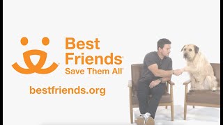 Mark Wahlberg, Lionsgate and 'Arthur the King' - Pet Adoption PSA | Best Friends Animal Society by Best Friends Animal Society 2,602 views 2 months ago 1 minute, 4 seconds