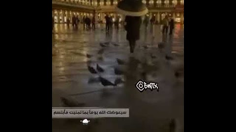 تلاوة خاشعة تجعلك ترتاح نفسيا فقط استمع بقلبك حالات واتس إسلامية