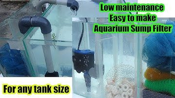 aquarium filter | DIY low maintenance aquarium sump filter|