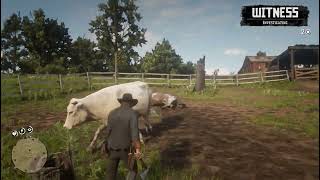 RDR2 - Hunting all cows in farm