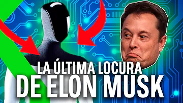 ¿Cuánto cuesta un robot de Elon Musk?