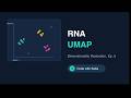 Single Cell Datasets Ep 5 - RNA UMAP plotting and analysis walkthrough on 10xGenomics