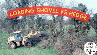LOADING SHOVEL TAKES ON HEDGES | WILL THIS KEEP THE CATTLE IN ?!