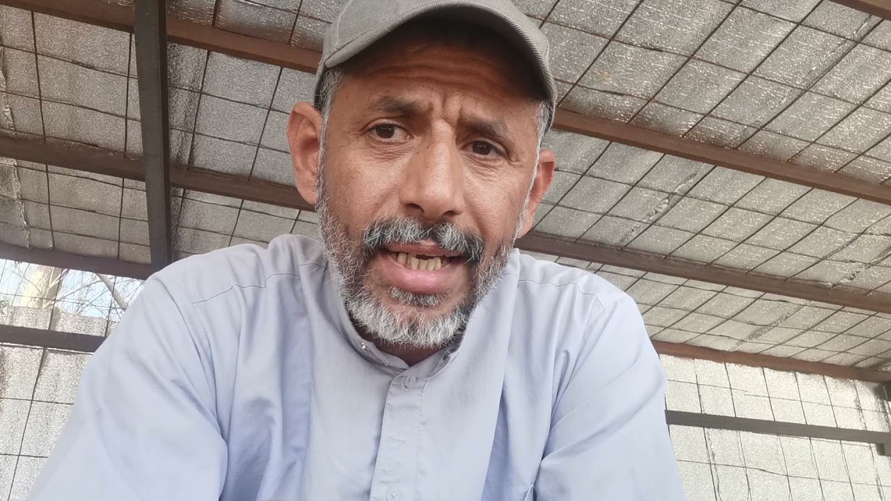 النحل في نجم العوا ومواصفات العذارا