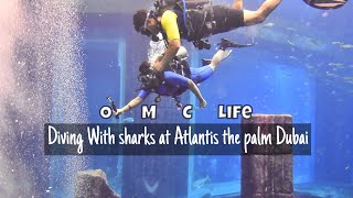 Swimming with Sharks| Atlantis The palm Dubai| Dive Discovery  Lost Chamber