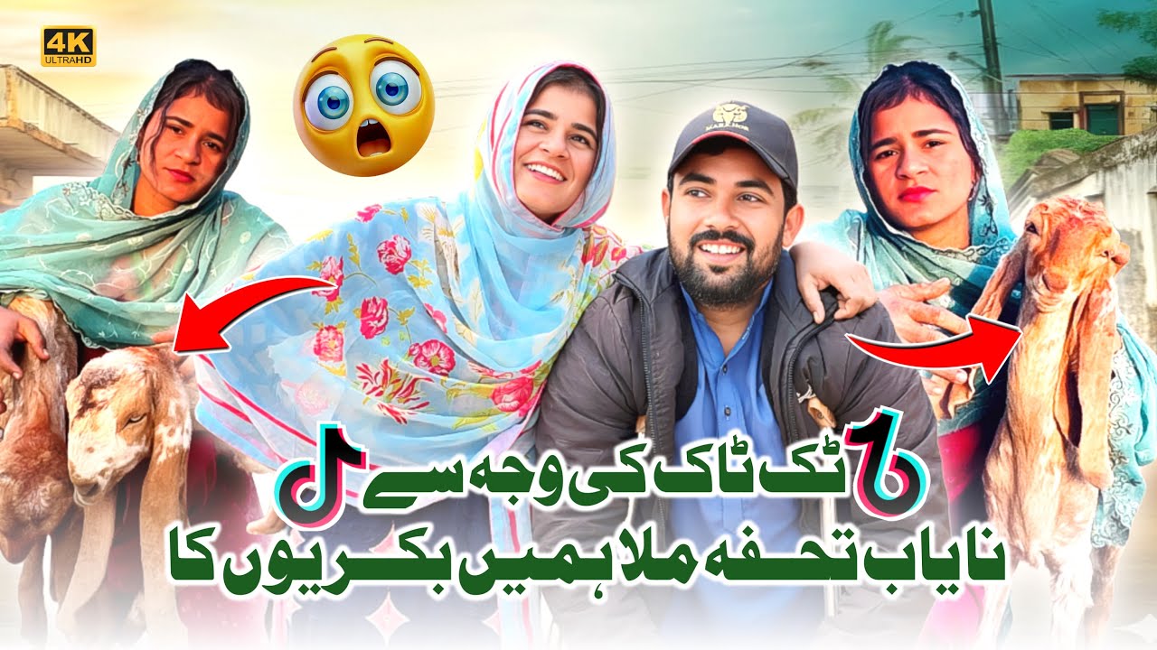 Khushi bhi… Hairat bhi! 😲Nayab Bakriyon ka Khaas Tohfa 🐐