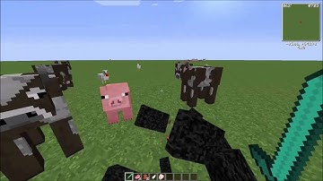 Minecraft Mod Showcase | Morph Mod (1.7.10)