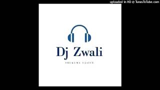 Dj Zwali  Ibhubesi For tar Percy
