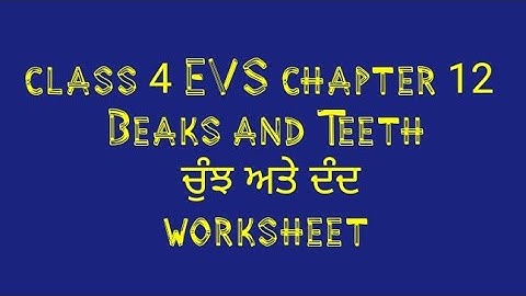 class 4 EVS chapter 12 pseb|| class 4 EVS chapter 12 Beaks and Teeth worksheet||