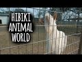 Hibiki Animal World - Kitakyushu - ひびき動物ワールド の動画、YouTube動画。