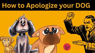 How to apologize to your dog? 😲 (the ONLY correct way)