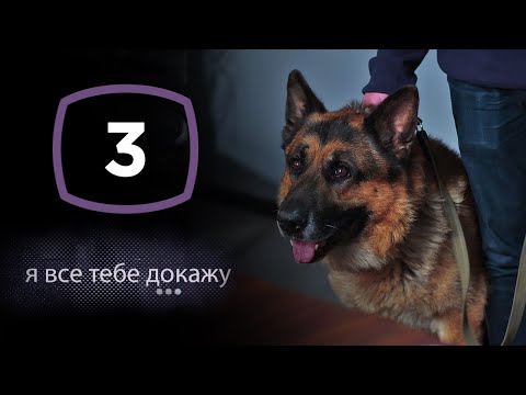 Сериал Я Все Тебе Докажу: Серия 3 | Детектив 2020