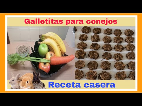Cómo hacer GALLETAS para CONEJOS 🍪🐰SNACKS para conejos 😋