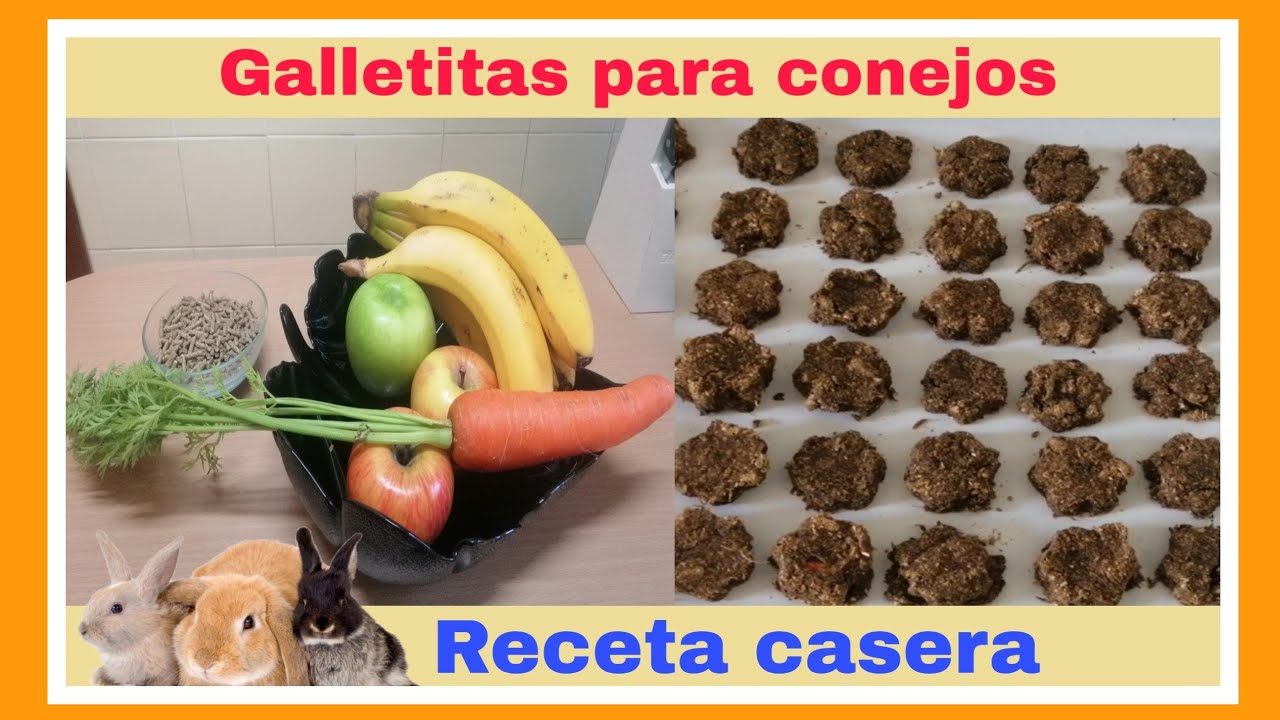 Cómo hacer GALLETAS para CONEJOS 🍪🐰SNACKS para conejos 😋