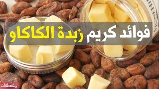 فوائد كريم زبدة الكاكاو