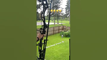 Don T Buy Cheap Arrows For This Reason Shorts 