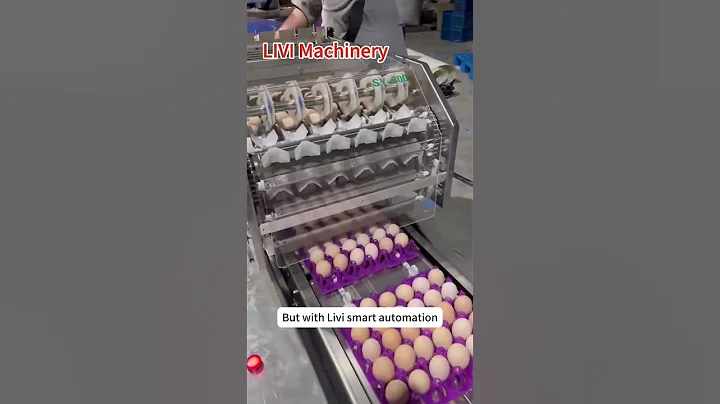 Automatic Poultry Farming Equipment 2025 | Best Chicken Cage & Feeding System for Profitable Farms