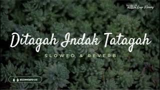 Ditagah Indak Tatagah - Fauzana (Slowed & Reverb)