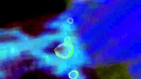 3D Soap Bubbles - particle system