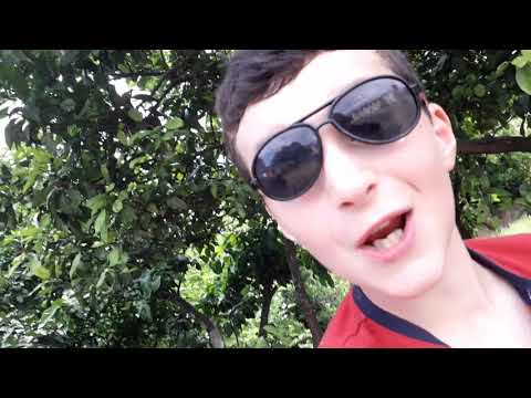 ჩვენი ჭიდავი