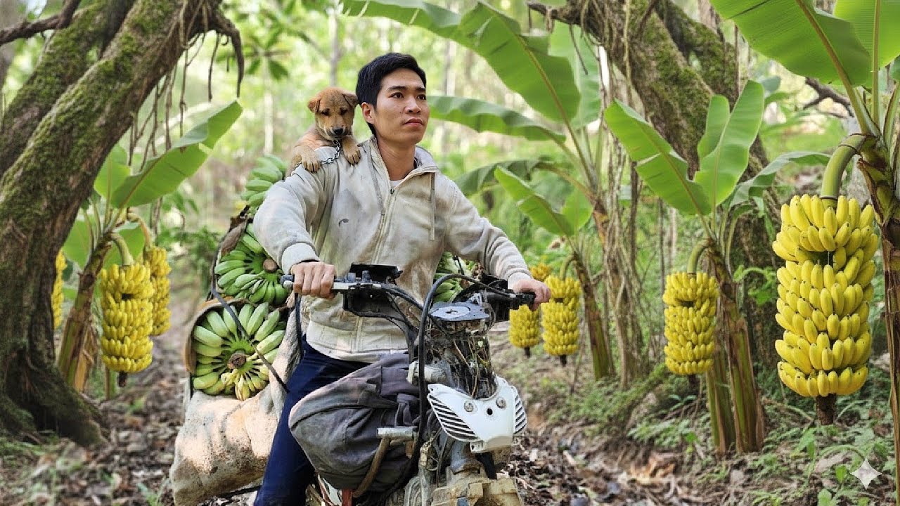 Trieu Thuan | From CEO to a simple life in the mountains.